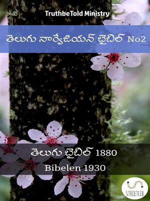 cover image of తెలుగు నార్వేజియన్ బైబిల్ No2